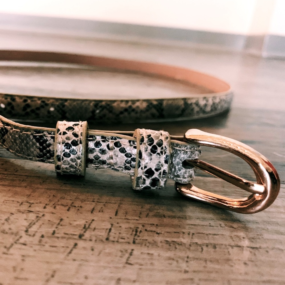 Snake Print Belt